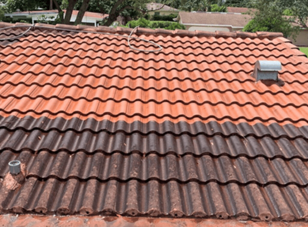 Roof Cleaning Sydney